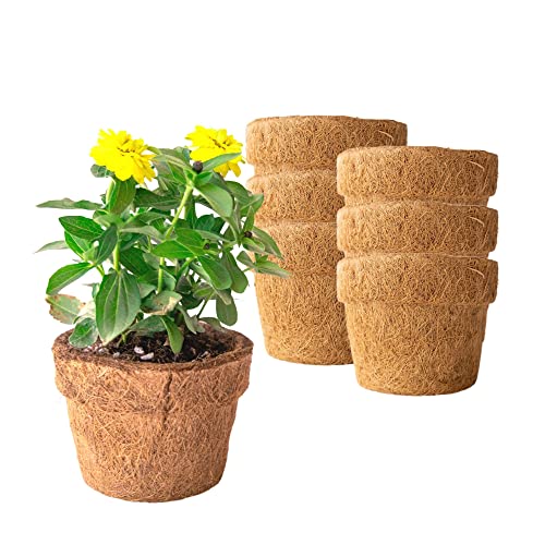 Coconut Fiber Planter Pots (18 Pack)