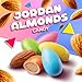 Assorted Jordan Almonds Candy | 1 Pound Jordan Almonds Bulk Bag | Glazed Almond Candy
