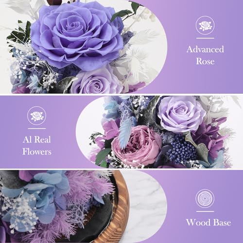 Laladeyek Eternal Rose Lilac Purple Flower Preserved Long Lasting Stable Color Natural Material Symbol of Everlasting Love for Wife Mothers Select Anniversary Rose Gift Birthday Present Christmas by Laladeyek - Used condition - Image 2