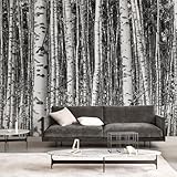 Zeeko Large Birch Forest Wall Mural Peel and Stick Mural for Wall 148'x 98' Black and White Wallpaper Birch Trees Forest 3D Murals Home Decor for Bedroom Livingroom