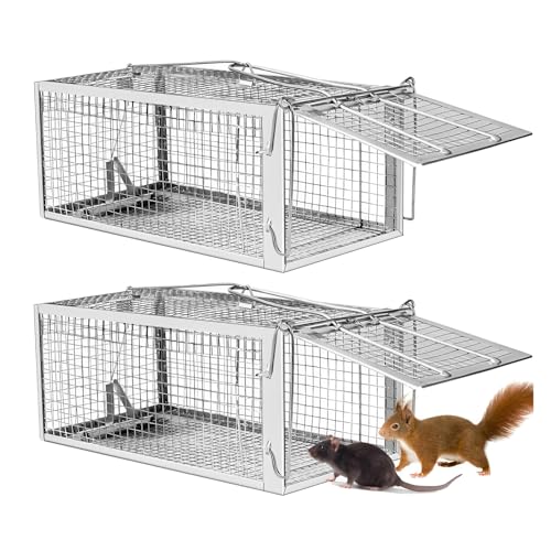 2-Pack Rat Traps, Humane Mouse Traps for Indoors, Reusable Live Animal Mouse Traps for Rats and Small Animals, Great for Outdoor Home Office Use
