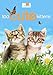 Too Cute Kittens