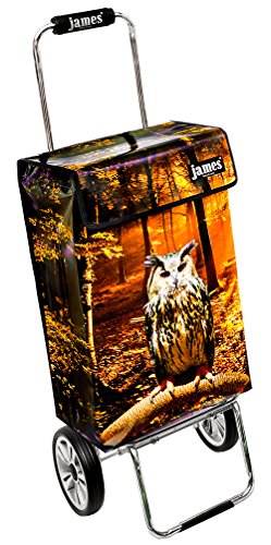 James® Einkaufstrolley modern Design Botticelli, Einkaufswagen bunt, Hackenporsche, Shopping-Lifestyle, Planenmaterial, bis 50kg Tragkraft, Grosse Räder, Made in Vienna