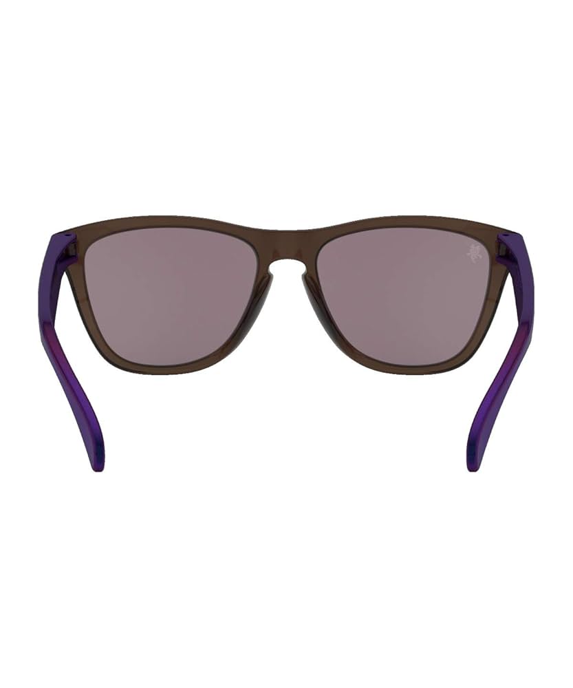 オークリー フロッグスキン リオオリンピック限定モデル OAKLEY Y2K オークリー フロッグスキン リオオリンピック限定モデル OAKLEY