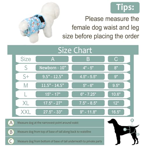 Image of Washable Female Dog Diapers (5 Pack) - Doggie Reusable Small Medium Large Dog Diapers for Doggy Puppy Female in Period - Highly Absorbent Dog Heat Panties,S Plus,Cute Dog Pattern