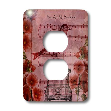 Placa para enchufe de alta calidad artística 3dRose lsp_99175_6 con acabado multicolor 4