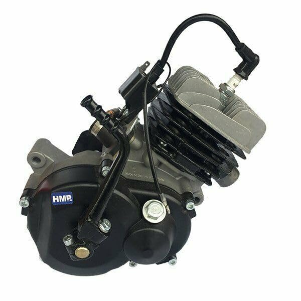 50cc Motore 2 Tempi Raffreddato ad Aria Pedale Avviamento Idoneo per Motocicletta NRG50, Kxd Pro, Pit Bike, Dirt Bike
