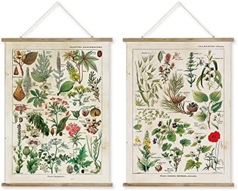 XIAOAIKA 2 Pack Vintage Plant Poster Hanger Frame, Cottagecore Room Decor Aesthetic, Retro Style Wall Decor Art Painting, Patterns are Printed on Linen Without Fading (15.7x22.4 inch)
