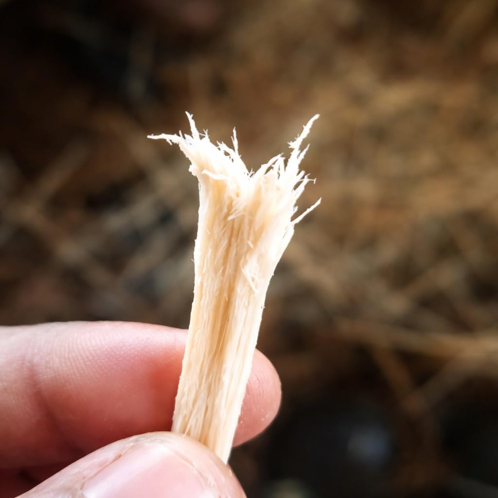 Mbariket African Chewing Sticks from Nigeria, Natural Oral Care