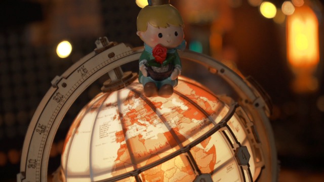 Amazon.com: ROKR 3D Wooden Puzzles for Adults Illuminated Globe