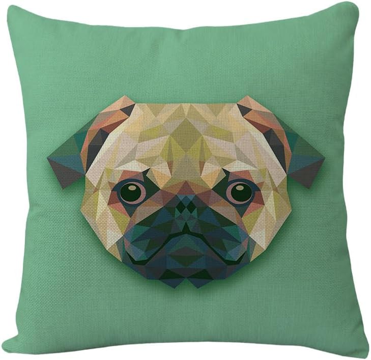 Cushion covers Cushion Covers 60cm x 60cm Green Hedgehog Cushion Covers Invisible Zipper Sofa Cushions Outdoor Cushions Garden Cushions Linen Decorative Pillows for Home Office Car(Green Hedgehog,(40x