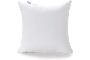 Acanva Premium Polyester Stuffer Square Form Sham Throw Pillow Inserts, 22 x...