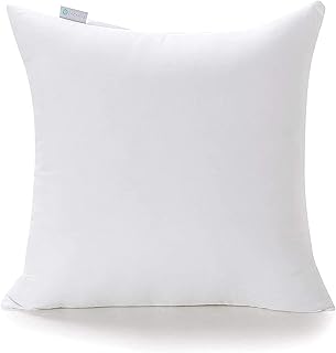 Acanva Premium Polyester Stuffer Square Form Sham Throw Pillow Inserts, 22X22 Inch（1 Count）, White