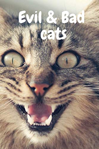 Evil & the bad cats