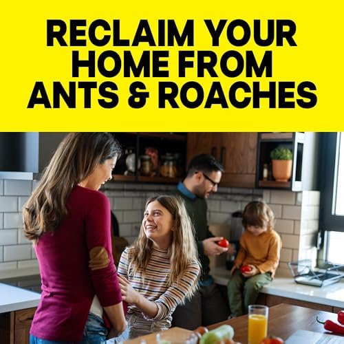 Raid Ant & Roach Killer 26, Fragrance Free Bug Killer for Home Use, Kills Bugs on Contact, Roach and Ant Spray, 17.5 Oz, 2 Count - 3
