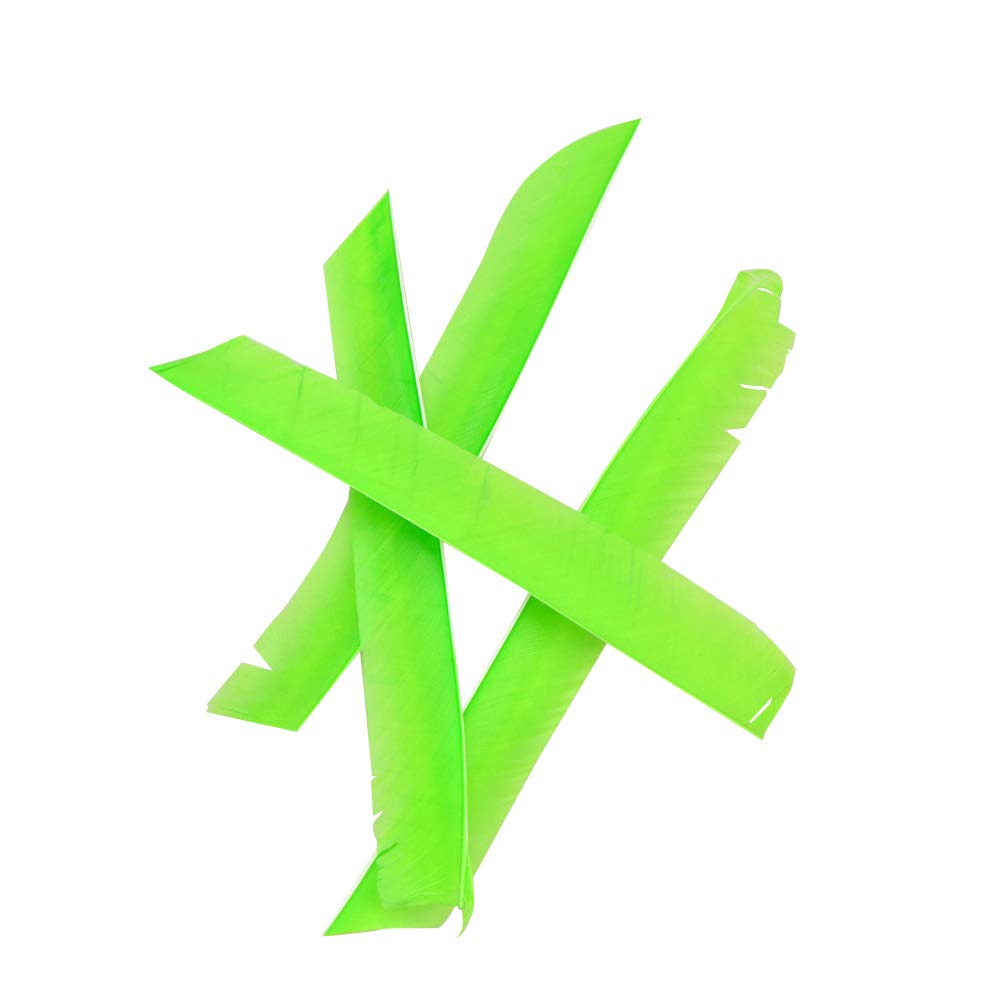 SHARROW Piume Per Frecce Da Tiro Con Arco - 50 Pezzi 3 Pollici Piuma Tacchino