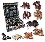 White Elephant Gifts For Adults - 2.26 Ounce Real Edible Flavored Insects For Humans, Funny Birthday Gifts, Weird Gifts (Tarantula & Assorted Bugs, Box of 9)