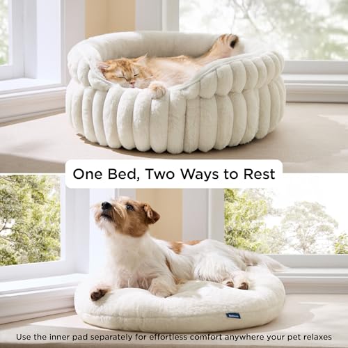 BEDSURE Flauschiges Katzenbett für Wohnungskatzen - 51 x 51 cm kleines rundes Katzenbett, waschbares Katzenbett für Kätzchen und Welpen mit Rutschfester Unterseite und abnehmbarem Kissen, weiß