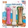 Puppy Chew Toy and Treat Starter Pack