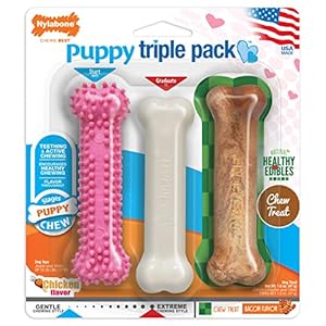 Nylabone-Puppy-Chew-Variety-Toy-Treat-Triple-Pack-Pink-Bone-SmallRegular-3-Count Puppy Chew Toy and Treat Starter Pack