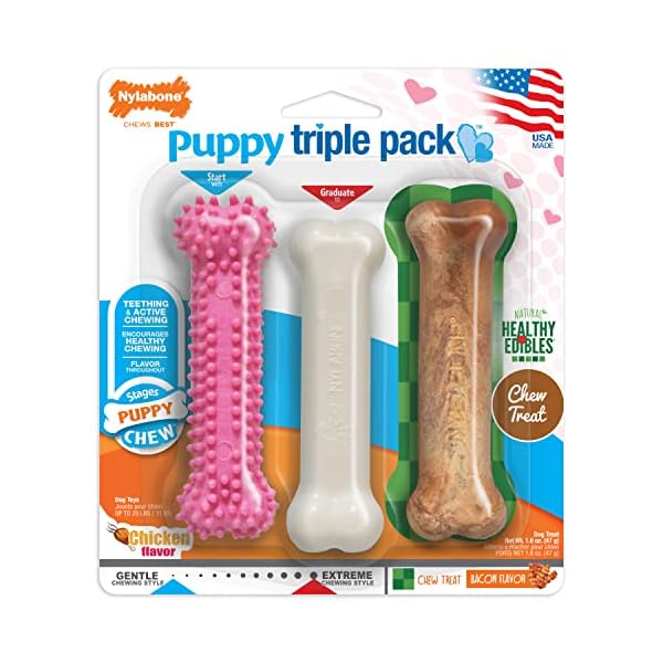 Puppy Chew Toy and Treat Starter Pack