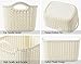 Honla Weaving Rattan Plastic Storage Baskets Bins Organizer with Handles,Set of 3,Beige White
