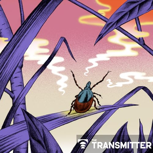 Neuro's ark: Spying on the secret sensory world of ticks