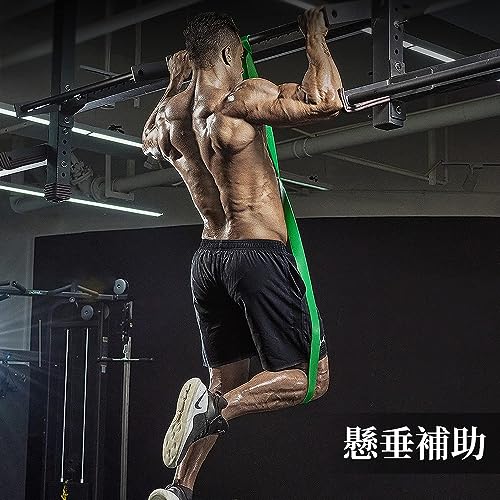 Image of LEEKEY Resistance Tubes, Pull Up Tubes, Fitness Tubes, Muscle Training Tubes, Pull Up Aids, Exercise Bands, Stretch Resistance Bands, Powerlifting Bands, Squat Tubes, Set of 4, Instruction Manual Included