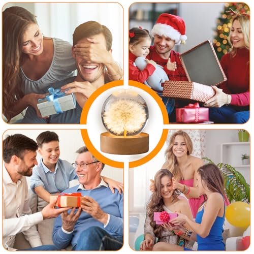 Kristallkugel Löwenzahn, 60 mm Glaskugel Lampe mit Holzsocke, Kristallkugel Dekoration, Pusteblume im Glas, Kristallkugel Nachtlicht mit LED-Beleuchtung, Geschenke für Frauen, Kinder