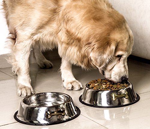GPET Dog Bowl 32 Oz Stainless Steel Bowls with Anti-Skid Rubber Base for Food or Water Perfect Dish for Dog Puppy Cat… - Image 2