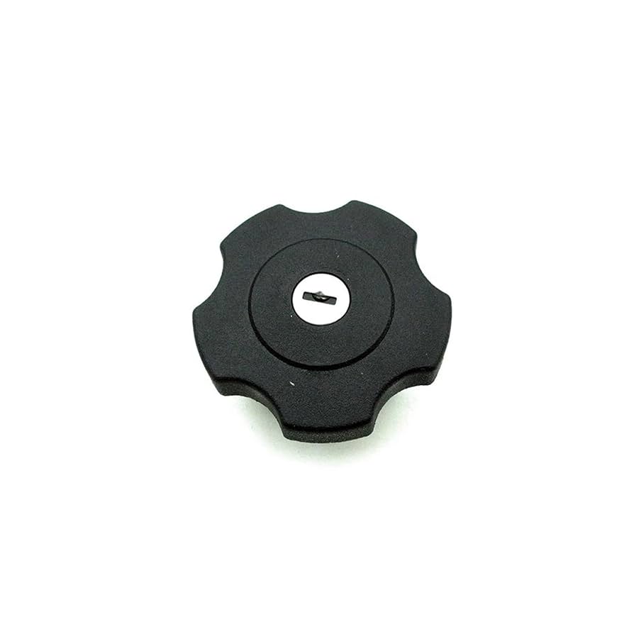 ハイドロ　タンク　でかキャップ　ローライダー LowRider タンクアートキャップ | ハーレーダビッドソン宮城