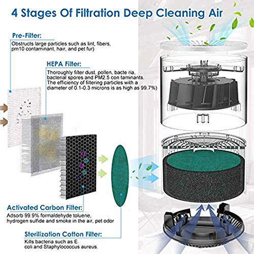 Crucial Vacuum Replacement Vacuum Filter Part # 86889, 20-86889, 40324 - Compatible With Kenmore Vacs - Kenmore Ef1 Hepa Style Filter Fits Whispertone & Progressive - For Home Use (4 Pack) #TOP1