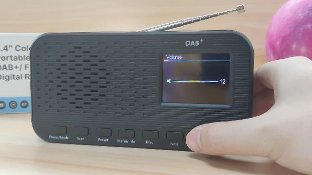 Bluetooth OiDiPi Avec Bluetooth, Radio FM Numérique Rechargeable, Radio Radio Dab