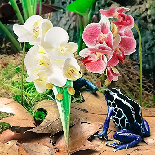 Chuangdi 2 Pieces Artificial Phalaenopsis with Suction Cups Terrarium Plant Decoration Reptile Habitat Plant Decor for… - Image 6