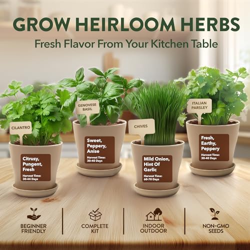 HOME GROWN Bonsai Tree Starter Kit – Unique Christmas Gift for Adults, Men, Women - Grow 4 Bonsais & HOME GROWN Herb Garden Planter Indoor Kit – Unique Christmas Gift for Adults, Men, & Women - Grow 4 - image 6