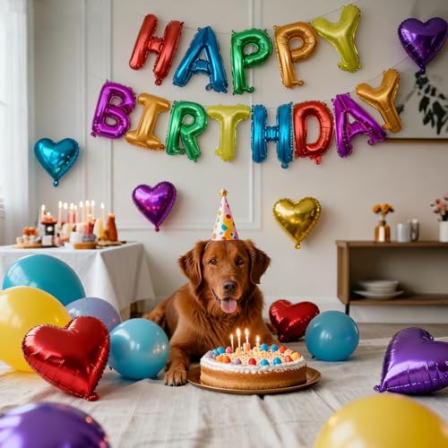 Image of Rainbow Happy Birthday Letters Balloon Banner Kit,Usable Mylar Decorations for All Genders - Men /Women Party Supplies, Vibrant Happy Birthday Sign