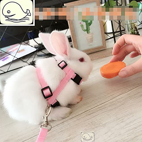 Image of 2 Pcs Adjustable Bunny Rabbit Harness with Leash Cat Puppy Walking Harness Leash Pet Harness Leash for Pigs Hamster Small Animals Pink and Light Blue