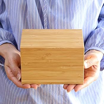 Amazon | 公長齋小菅 二段弁当箱 レッド | 公長齋小菅 | 弁当箱 通販