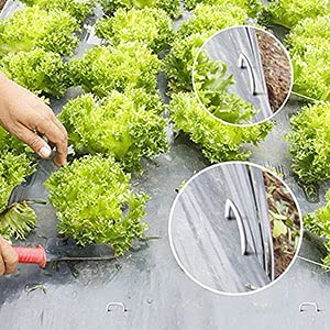 50x Picchetti di ancoraggio lunghi,Chiodi da Terra in acciaio Picchetti da Giardino per il fissaggio di reti parasole e di sintetica,30x4cm,in filo d'acciaio dello spessore di