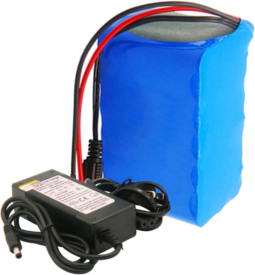 HUUG EBike LiBattery 24V 7.8AH Battery Pack with BMS and Charger 25.2V