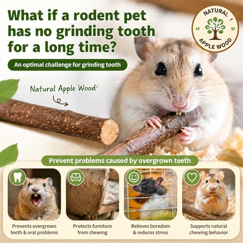 Sukh Natural Organic Apple Sticks - 250g Hamster Chew Stick Hams Rabbit Bunny Gerbil Guinea Pig Squirrel Chinchilla Small Animal Chew Sticks - Image 3