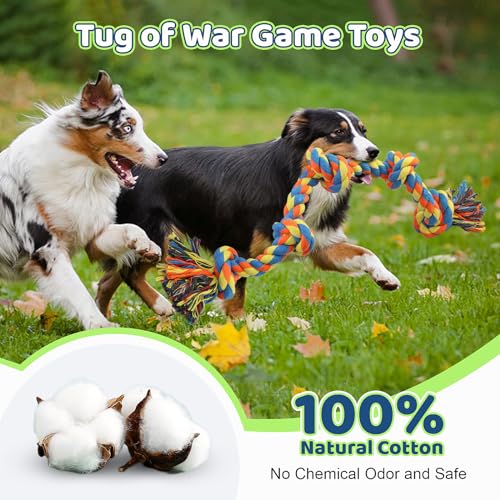 GASAPET Brinquedos de corda para cães grandes para mastigadores agressivos, conjunto de brinquedos p