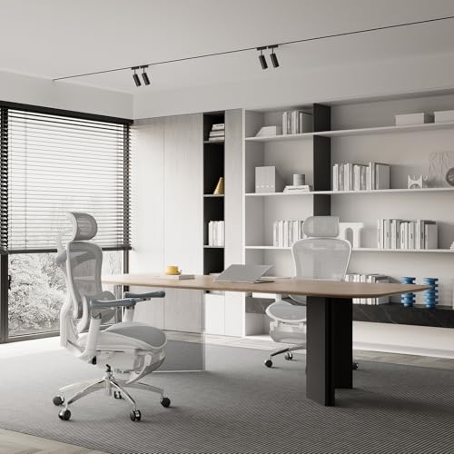 Image of SIHOO Doro C300 Pro Ergonomic Office Chair with Footrest, Ultra-Soft 6D Armrests, Dynamic Lumbar Support, Seat Depth Adjustment and Adjustable Backrest, Big and Tall Desk Chair 2 Packs (Grey)