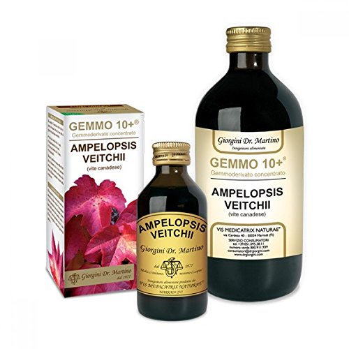 Gemme fresche e purissime di Vite canadese