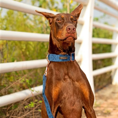 ARING PET Hondenhalsband en riem set, fluwelen hondenhalsband en riem, zachte hondenhalsband set voor kleine middelgrote grote honden. - Afbeelding 5