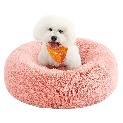 Feandrea Cuccia Cane Interno, Cuccia per Cani, Lettino per Animali Domestici a Ciambella, Cuscino Sfoderabile e Lavabile, Tappeto di Peluche, Diametro 70 cm, Rosa PGW039P01