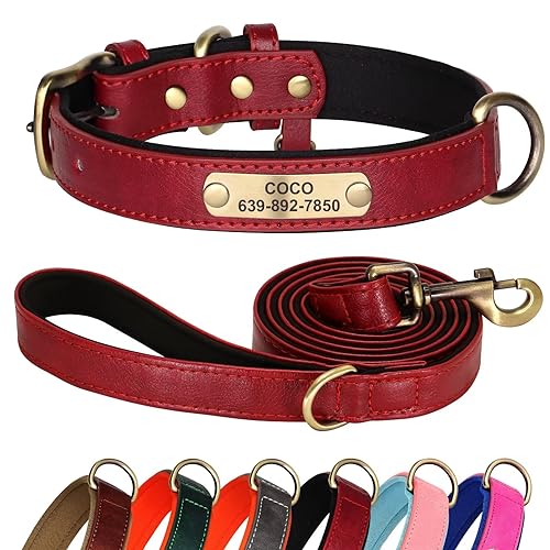 Didog Juego de Collar y Correa de Cuero Personalizado para Perros pequeños, medianos y Grandes, Correa y Collar de Cuero Acolchado Suave de 5 pies, Collar de Cuero Resistente con Placa de Nombre