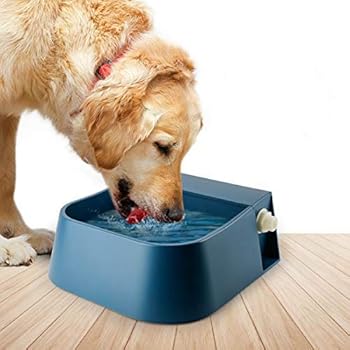 automatic water dish for dogs