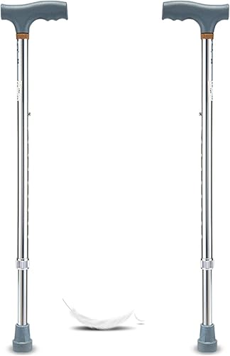Bastón para personas mayores y discapacitados, bastón ajustable con mango en T, bastón para hombres y mujeres, 1 par, color plateado