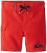 Quiksilver Baby Boys' Everyday 21 Board Short